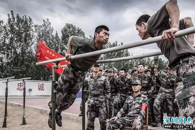 PpcVip9i1zJkuFgP.jpg