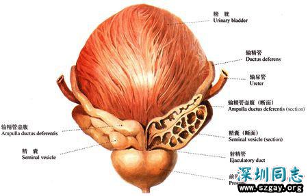 ThQgO3QonpAPh2mM.jpg